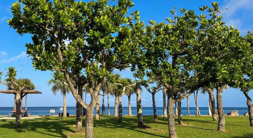 沖縄本島 Paradiso北谷 4つ星 シングルルーム 客室