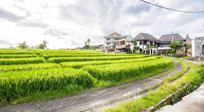 Canggu 1 BR Serenity Villa Levante - image 19