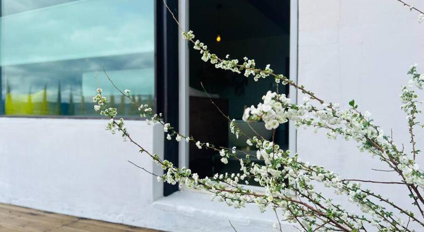 キョンサン Tokkijib Stay 3つ星 シングルルーム プール