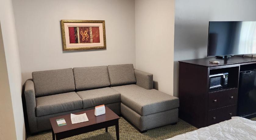 2 King Beds, Suite, Nonsmoking, Accessible fotója 3