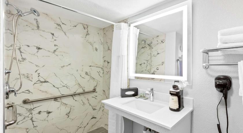 Image of Accessibility - 1 King, Roll-in Shower, Nonsmoking 2