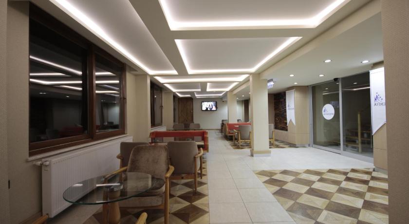 Ayderoom Hotel - image 3