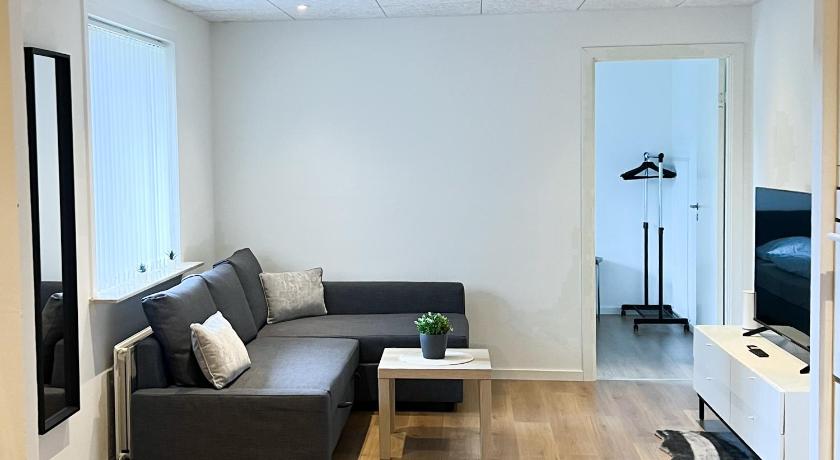 Lovely Billund Apartment by KIRIJA