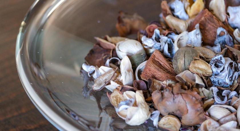 罗马 Domus Lilium 4星级 民宿 泳池