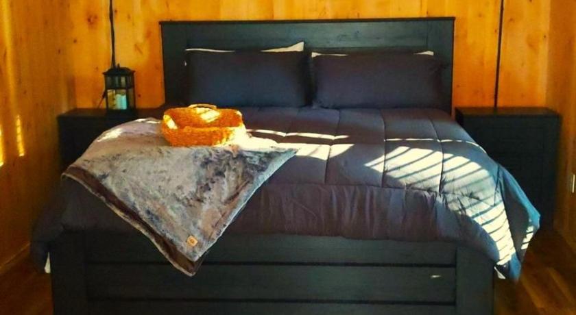 케이브 정션 Gold Creek Cabin 3 - Sleeps up to 4 4성급 숙소 스위트룸