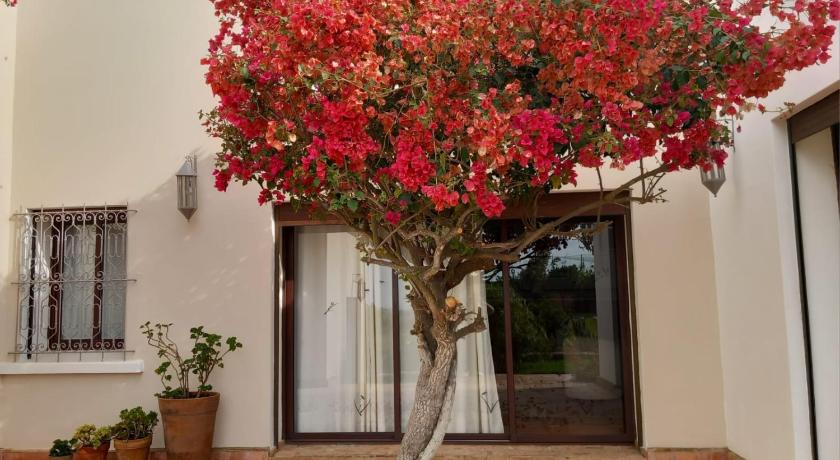 Image of Patio Double Room 3