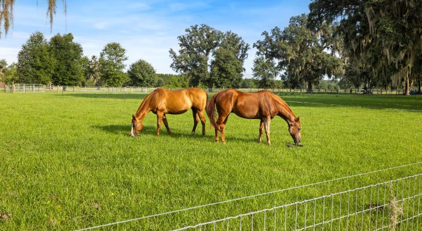 포트 화이트 Vista Verde Farm Retreat - Stylish Cabins Nearby Springs 4성급 숙소 레스토랑