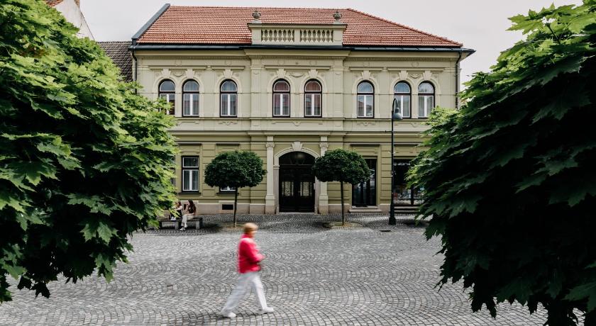 斯洛文格拉德茨 Villa Elizabeth - Mansard Apartment for 4 5星级 单人房 设施