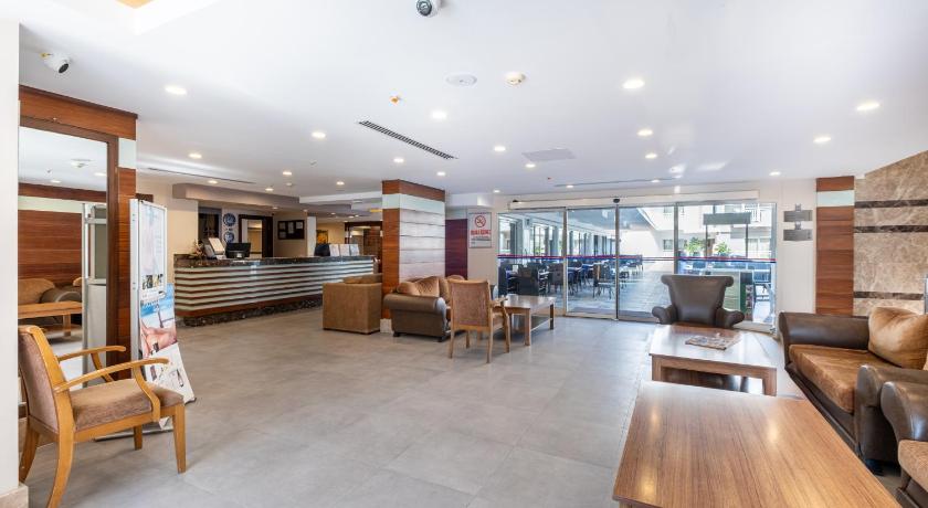 Viking Suite Hotel - image 4