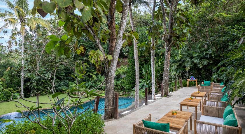 The Mesare Jungle Resort - image 14