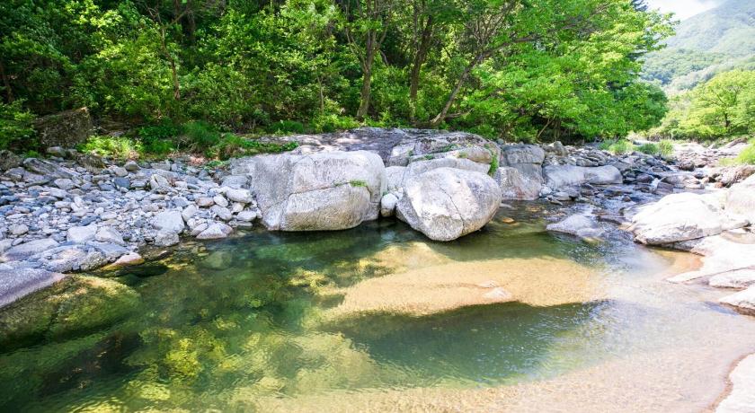 加平 Gapyeong Cheotnooneh Pension 2つ星 ゲストハウス 施設