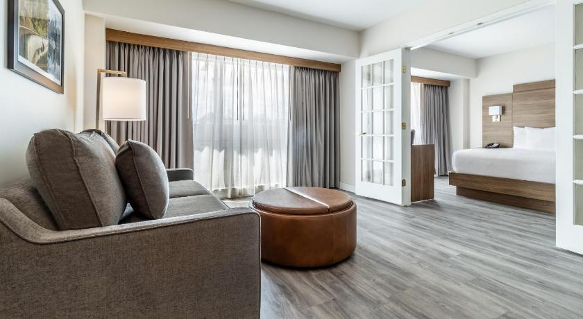 Image of King Suite with Kitchenette and Sofa Bed 0