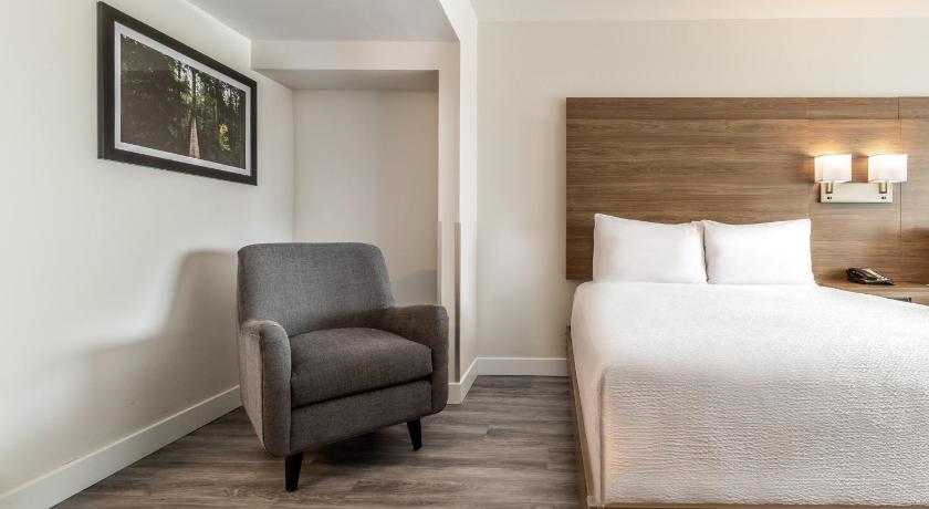 Image of Two Queen Beds 10