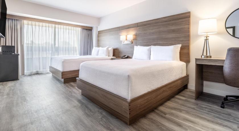 Image of Two Queen Beds - Accessible 0
