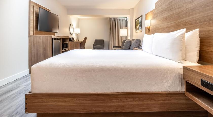 Image of One Queen Bed Interior 3