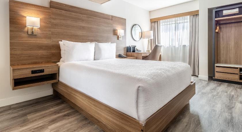 Image of One Queen Bed Interior 0