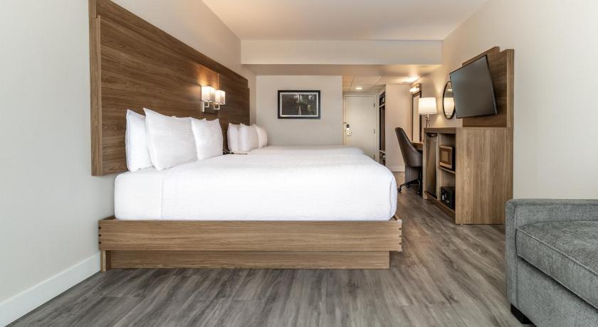 Image of Two Queen Beds with Sofa Bed 1