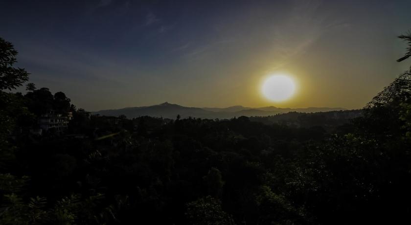 Cielo Residence - image 14