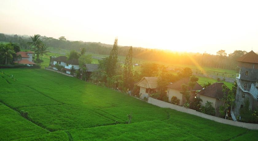 Image of Superior 14