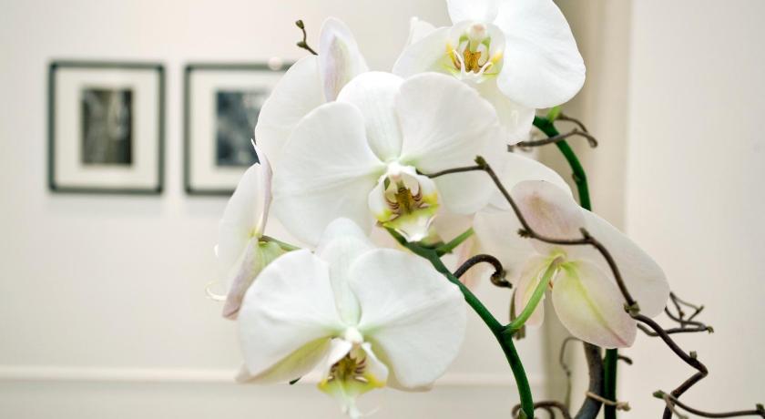 로마 배너티 나보나 (Vanity Navona) 2성급 호텔 전망