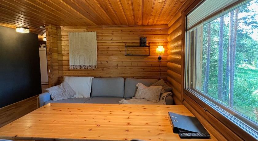 Logcabin, sauna, fireplace, view, kitchen