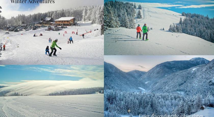 斯洛文格拉德茨 Villa Elizabeth - Mansard Apartment for 4 5星级 单人房 景观