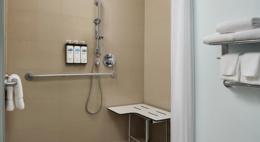 Image of King Accessible Roll-in Shower 2