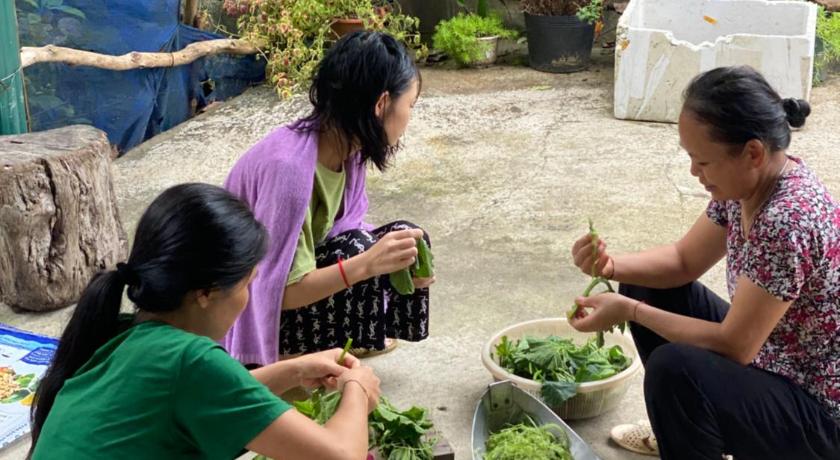 沙坝 Son Thoi Homestay 3星级 民宿 泳池