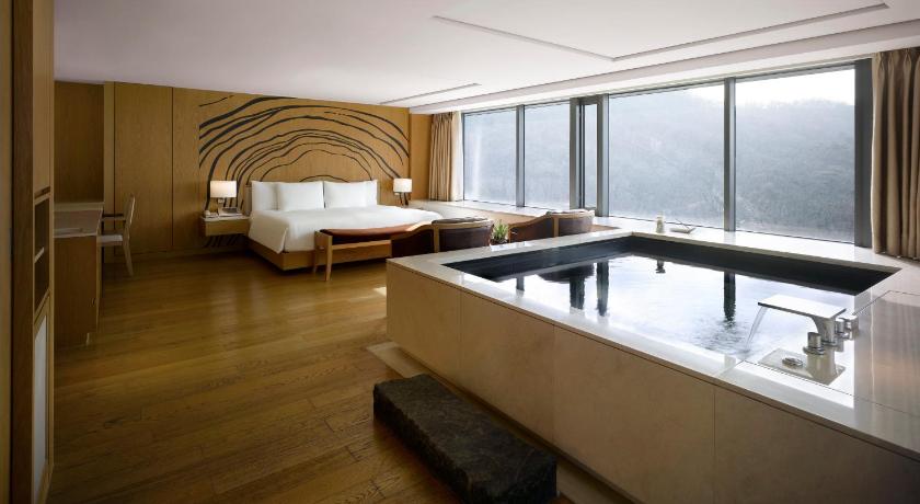 Bild av Deluxe Pool Namsan View - The Green Leaves of Summer PKG(Breakfast at Granum Dining Lounge, Indoor&Outdoor pool access, Fitness access for 2 people included) 3