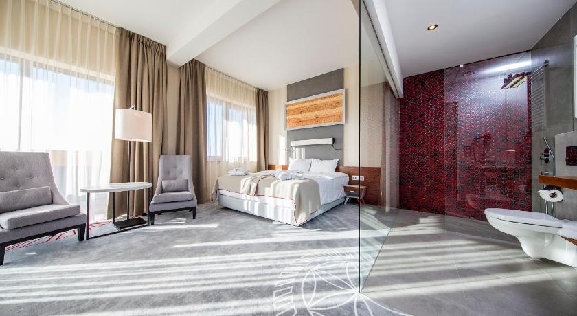 ザコパネ Hotel Kopieniec Fizjo- Med & SPA 4つ星 ホテル スイート