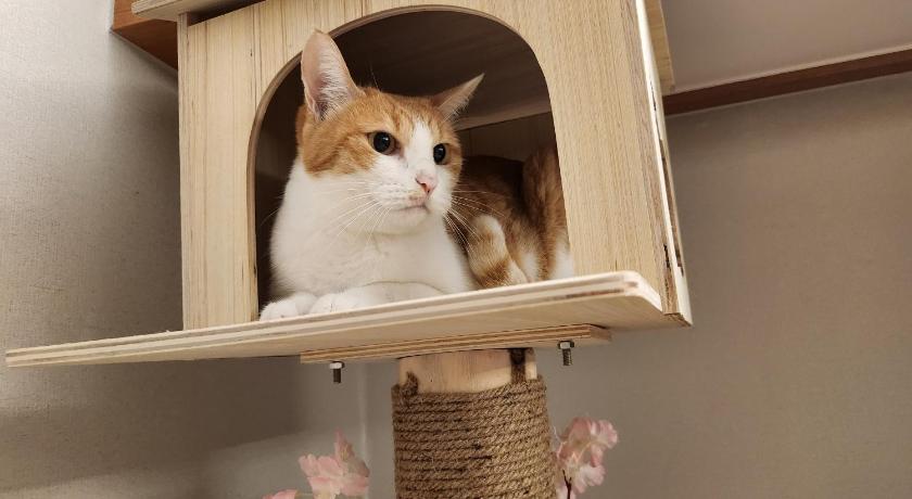 서울 신림 유호텔 (Sillim U HOTEL) 호텔 전망