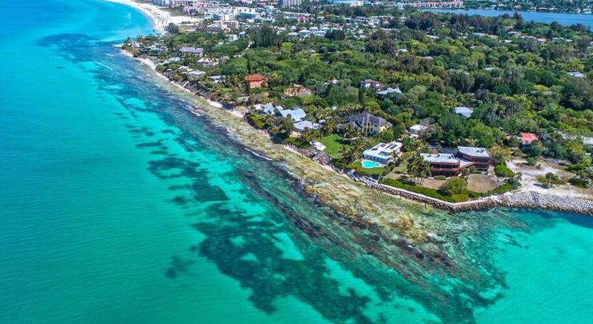 시에스타 키 (FL) Pool View, One Bedroom Walk To Beach Daily Rentals 3성급 숙소 부대시설