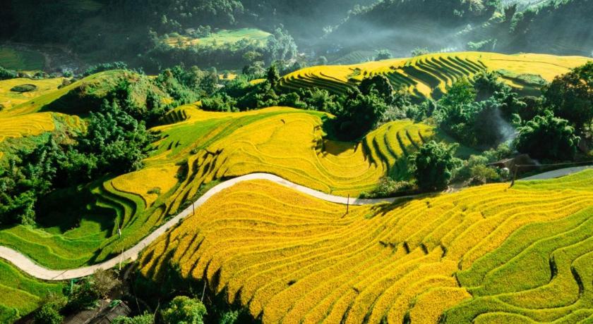 サパ Nhât's Sapa Central Hostel 2つ星 ホテル スイート