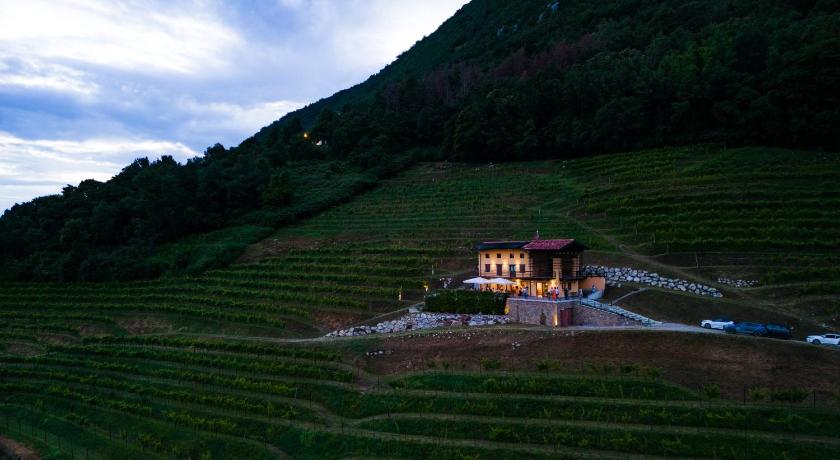 Dario Coos srl - Azienda vinicola