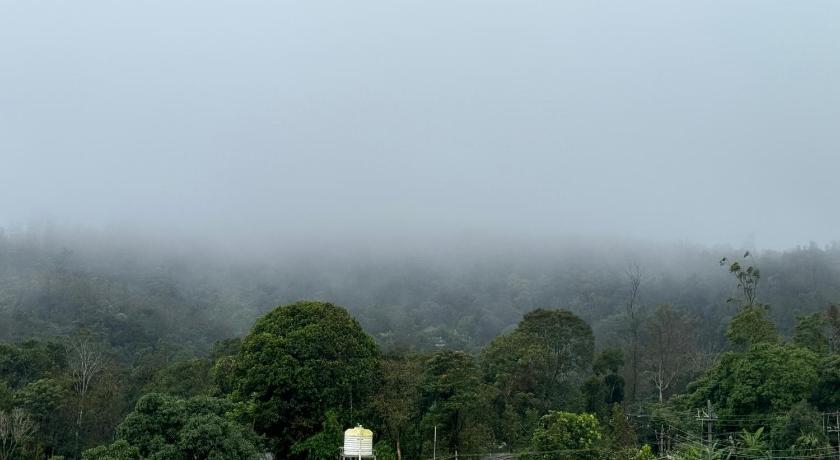 The Caligo resort coorg - image 41