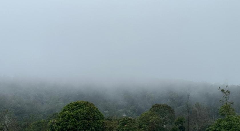 The Caligo resort coorg - image 43