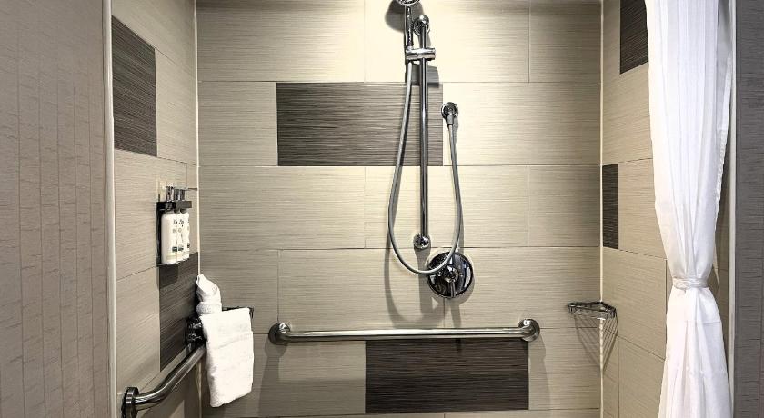 Image of 1 King Standard Communications Accessible Roll Shower 8