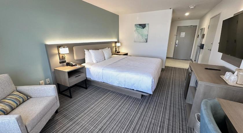 صورة جناح بسرير كينج واحد لغير المدخنين ملائم لذوي الاحتياجات الخاصة (1 King Bed, Suite, Nonsmoking, Accessible) 1