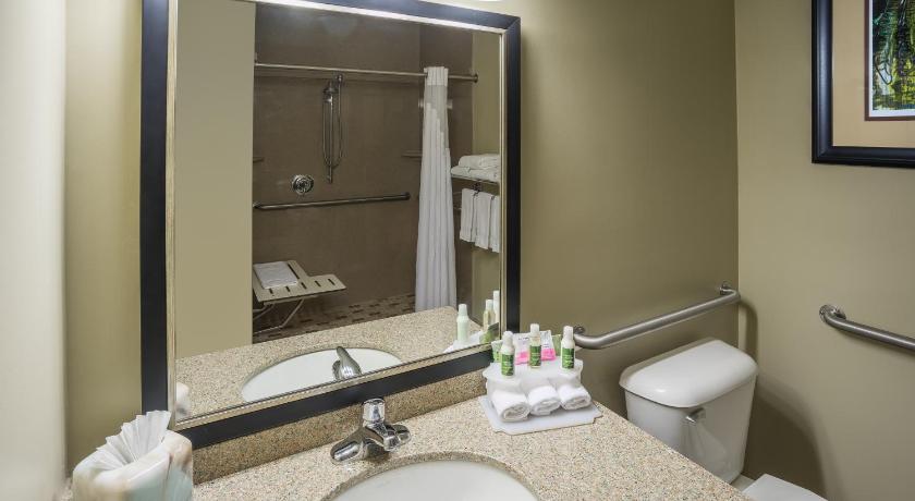 Holiday Inn Express Hotel & Suites St. Paul - Woodbury