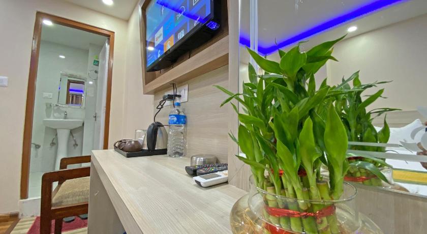 Hotel Aaradhya — Kathmandu (4)