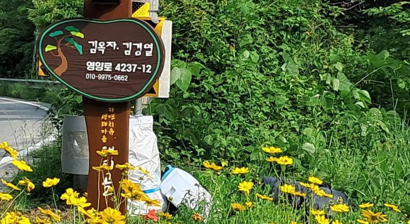 英阳 Yeongyang Daetigol Red Clay Room 2星级 民宿 大堂