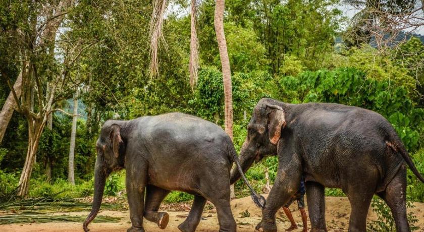 Koh Samui P.F Mansion 2-Star Hotel exterior