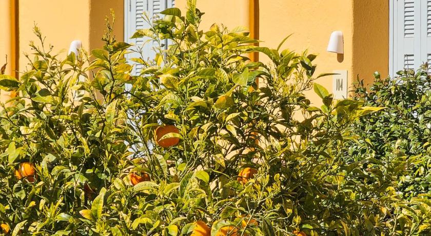 Immagine di Superior Double Room with garden view or courtyard view 9