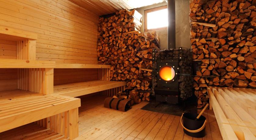 Hakuba Log Hotel Meteor - image 8