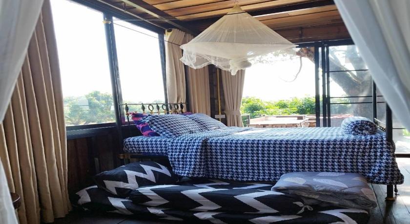 帕尧 Napahong Treehouse นาป่าฮง 4星级 单人房 套房