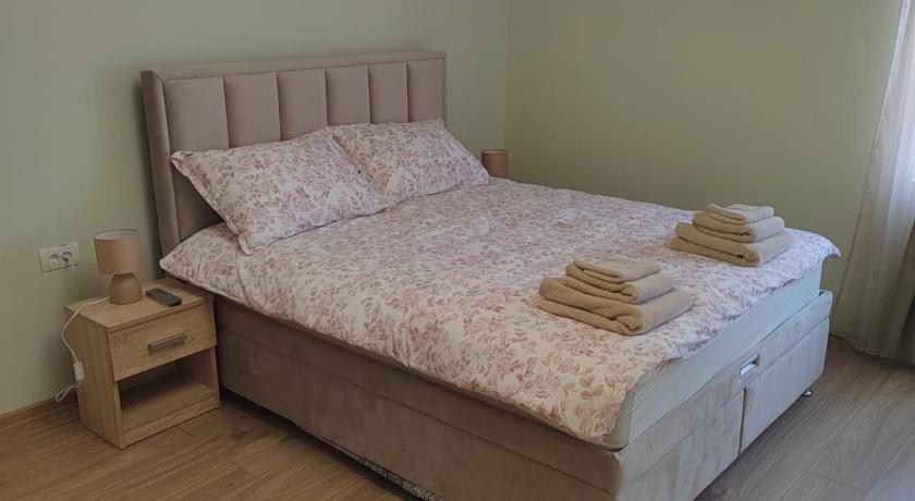 貝爾格勒 Apartman Anđela 3星级 单人房 大堂