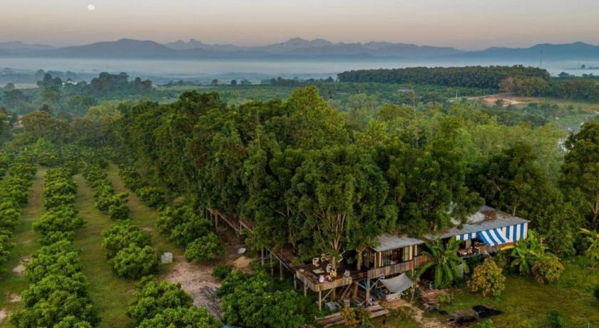 帕尧 Napahong Treehouse นาป่าฮง 4星级 单人房 外观