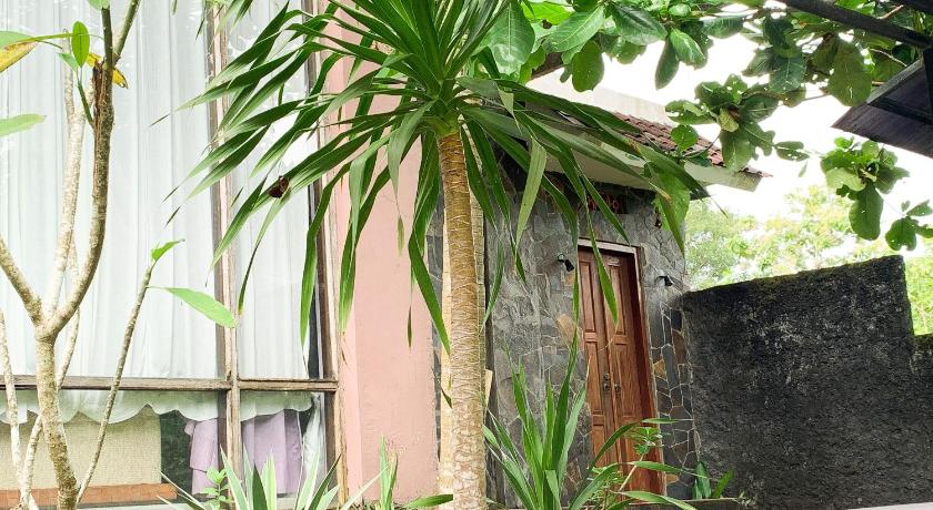 발리 Gwen Cozy Homestay 2성급 게스트하우스 로비