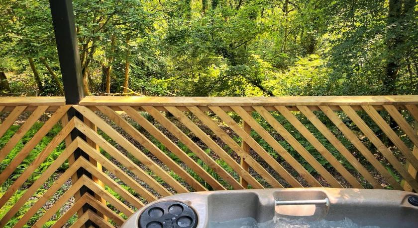 Goldcrest 3-Hot Tub-Woodland Lodges-Carmarthenshire-Tenby