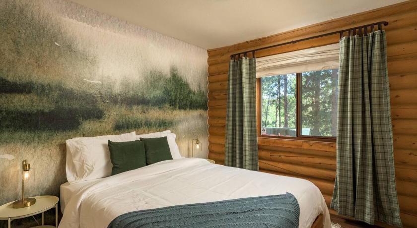 쇼니 (CO) Gorgeous Cabin 3 Rooms & 2 Baths in Bailey 3성급 숙소 로비